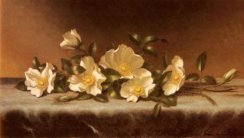 Martin Johnson Heade : Cherokee Roses On A Light Gray Cloth